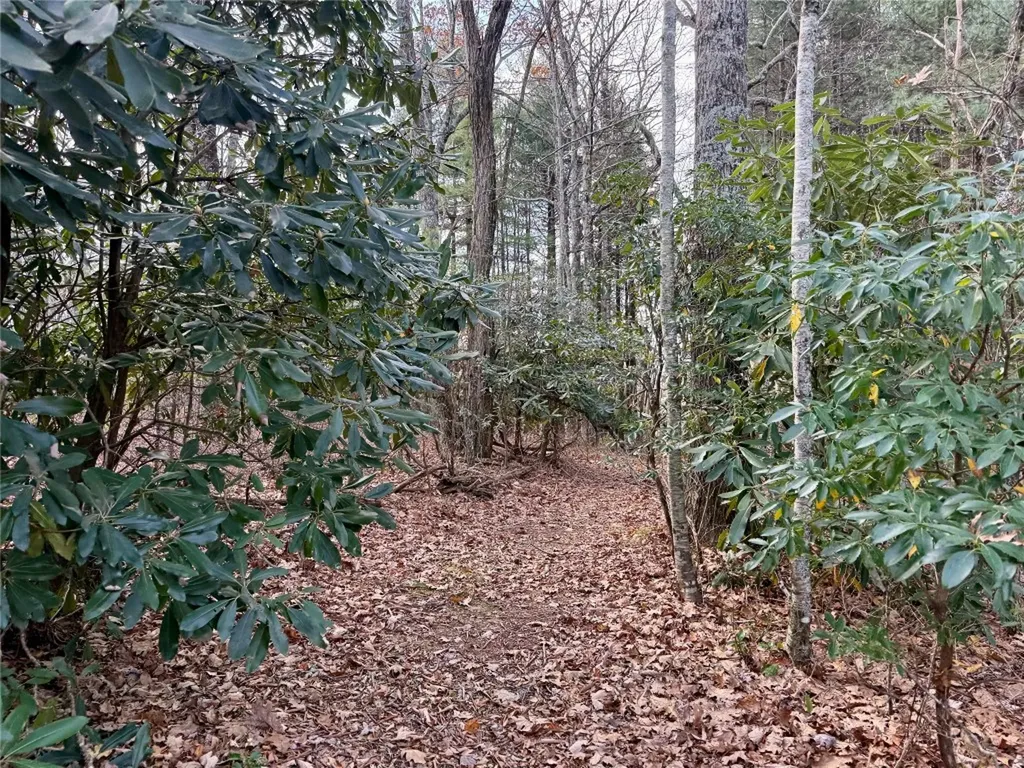 0 Glenridge Road Glenville NC 28736