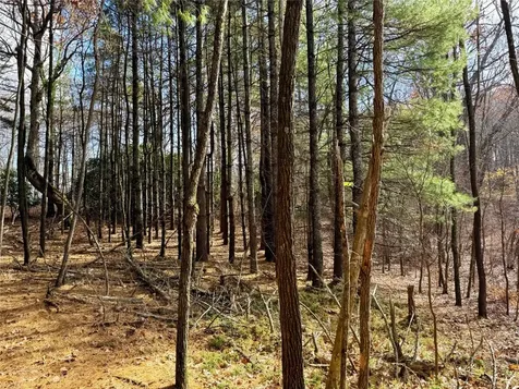 0 Glenridge Road Glenville NC 28736