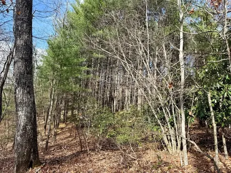 0 Glenridge Road Glenville NC 28736