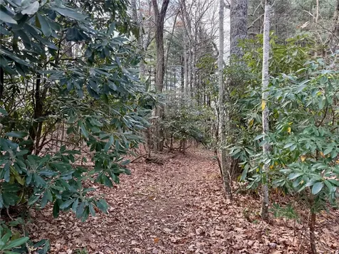 0 Glenridge Road Glenville NC 28736