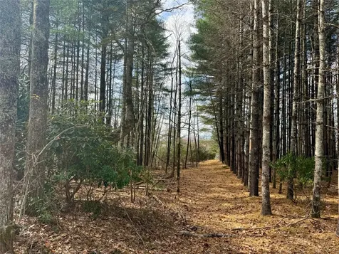 0 Glenridge Road Glenville NC 28736