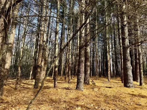 0 Glenridge Road Glenville NC 28736