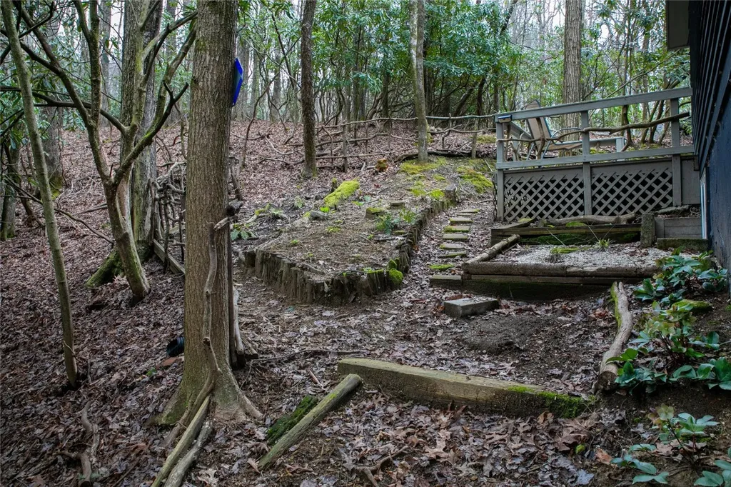 3703 Connestee Trail Brevard NC 28712