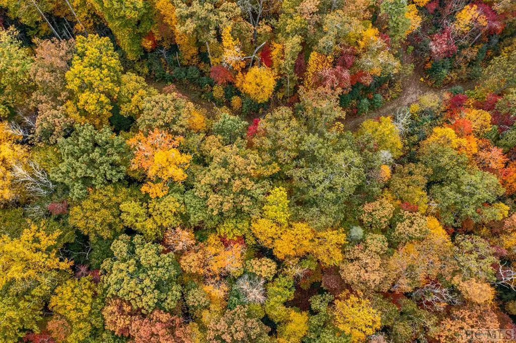 154 Shady Spring Drive Glenville NC 28736