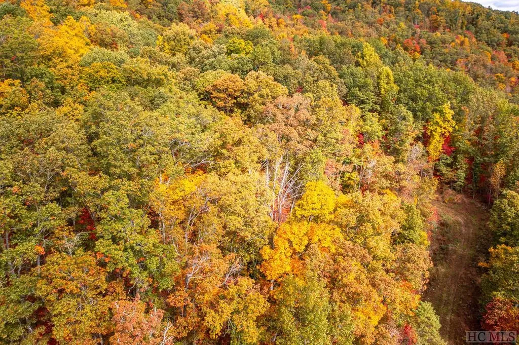 28 Lowland Glade Glenville NC 28736