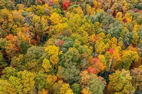 149 Shady Spring Drive Glenville NC 28736