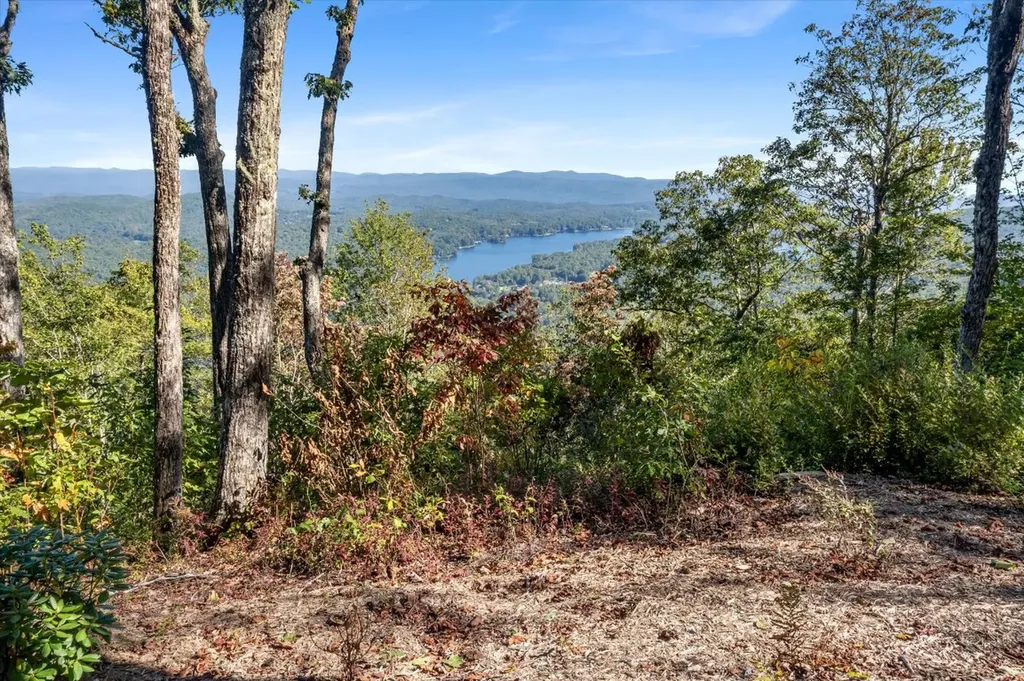 1544 Panthertown Road Lake Toxaway NC 28747