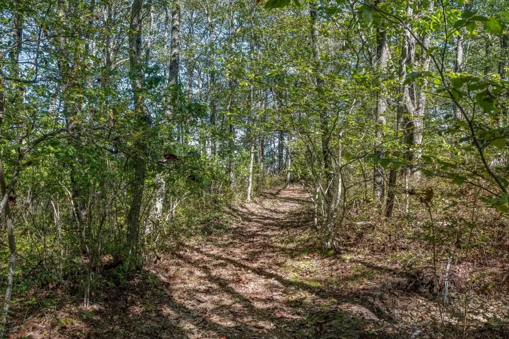 1544 Panthertown Road Lake Toxaway NC 28747