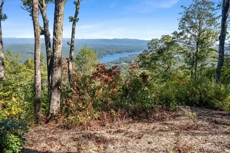 1544 Panthertown Road Lake Toxaway NC 28747