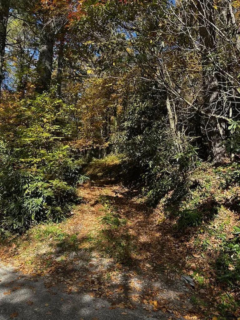 Tbd Foreman Road Highlands NC 28741