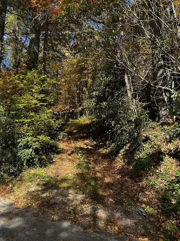 Tbd Foreman Road Highlands NC 28741