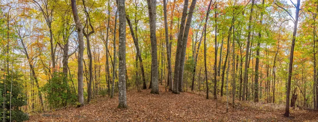 Lot 54 Cullowhee Forest Road Cullowhee NC 28723
