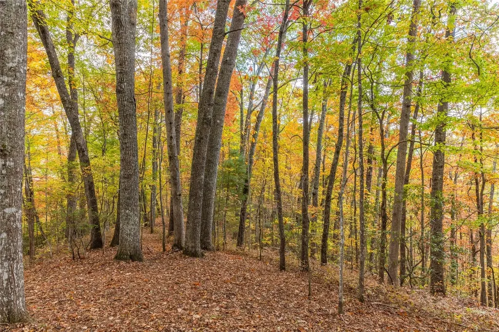 Lot 54 Cullowhee Forest Road Cullowhee NC 28723