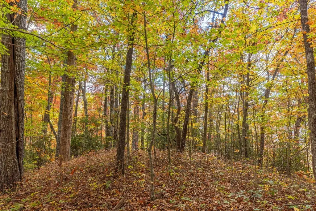Lot 54 Cullowhee Forest Road Cullowhee NC 28723