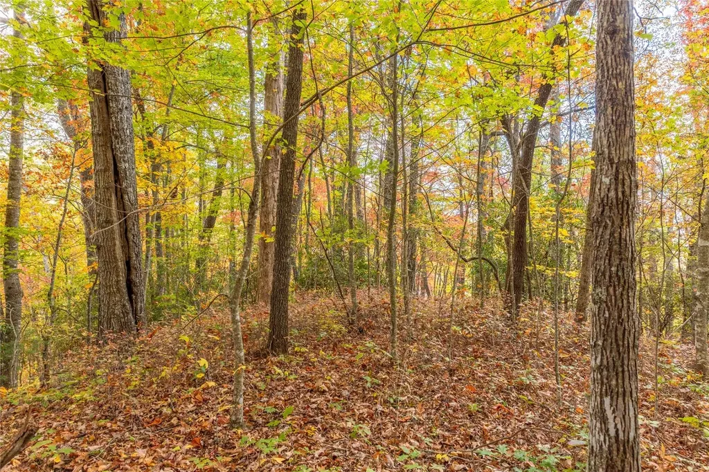 Lot 54 Cullowhee Forest Road Cullowhee NC 28723