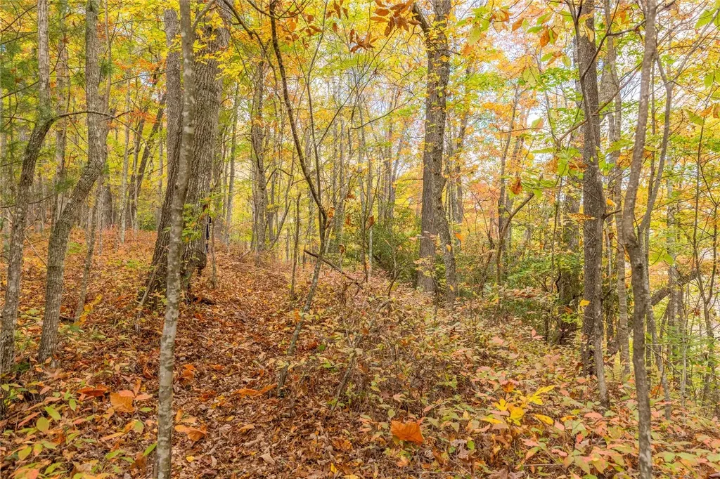 Lot 54 Cullowhee Forest Road Cullowhee NC 28723