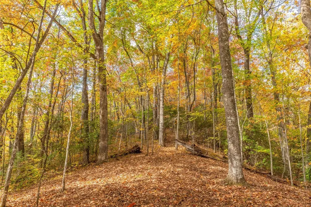 Lot 54 Cullowhee Forest Road Cullowhee NC 28723