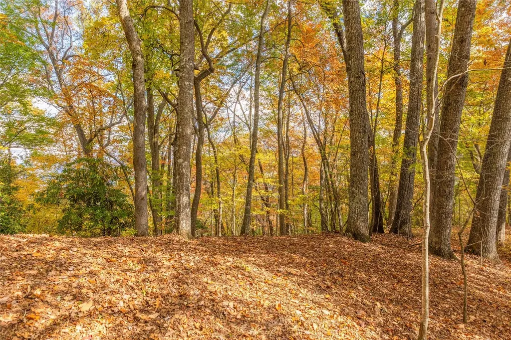 Lot 54 Cullowhee Forest Road Cullowhee NC 28723
