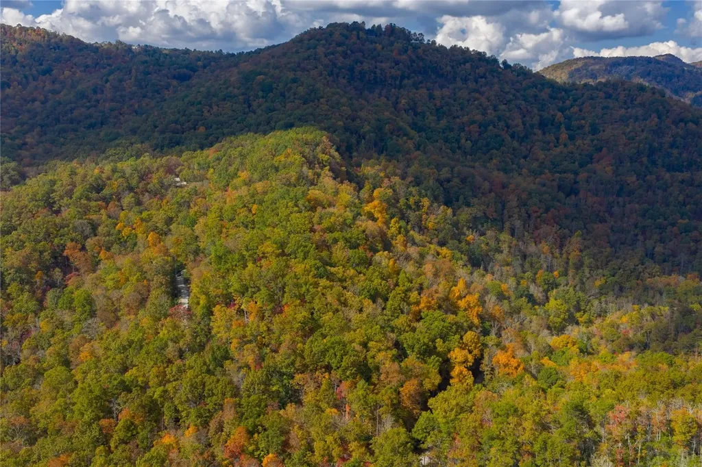 Lot 54 Cullowhee Forest Road Cullowhee NC 28723