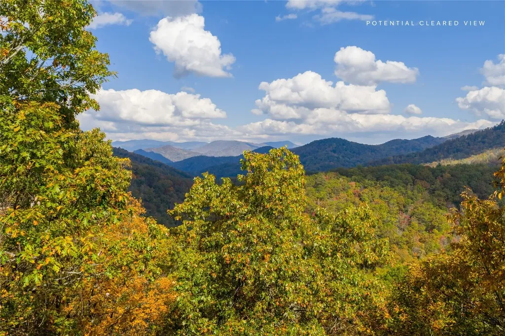 Lot 54 Cullowhee Forest Road Cullowhee NC 28723