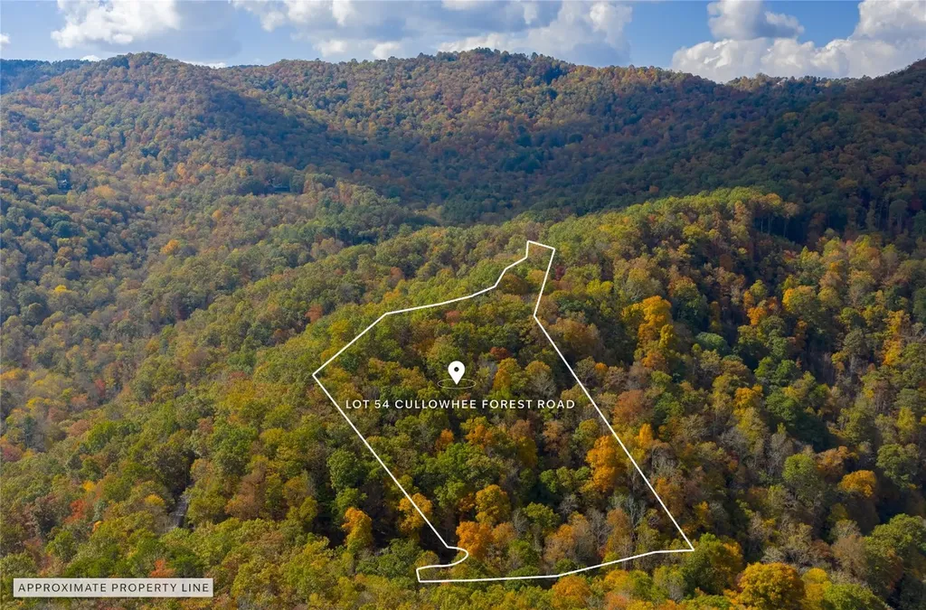 Lot 54 Cullowhee Forest Road Cullowhee NC 28723