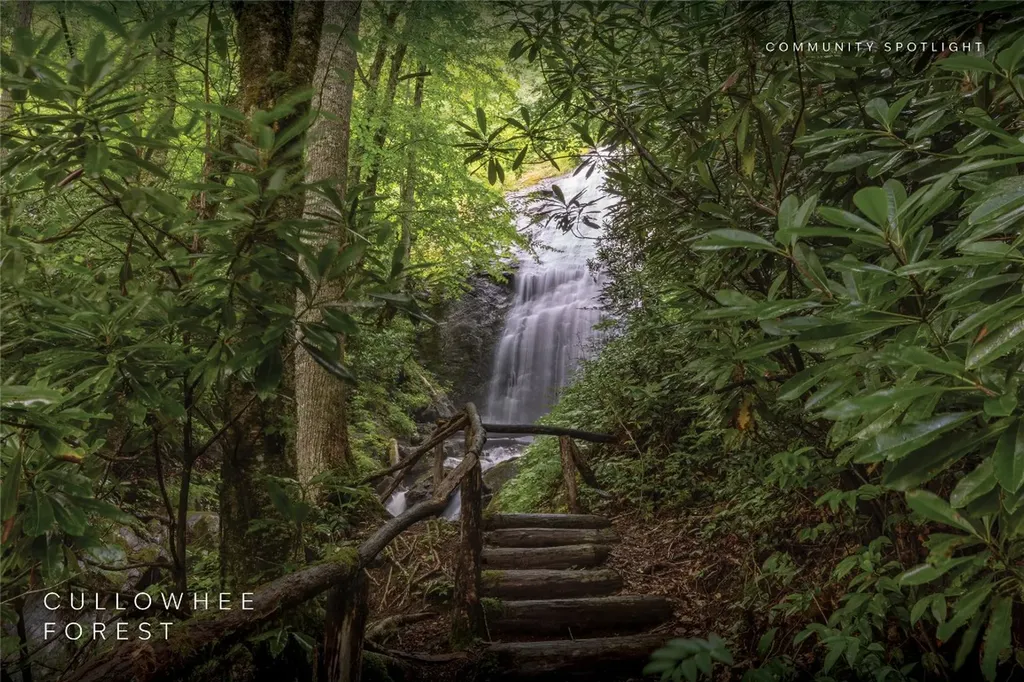 Lot 54 Cullowhee Forest Road Cullowhee NC 28723