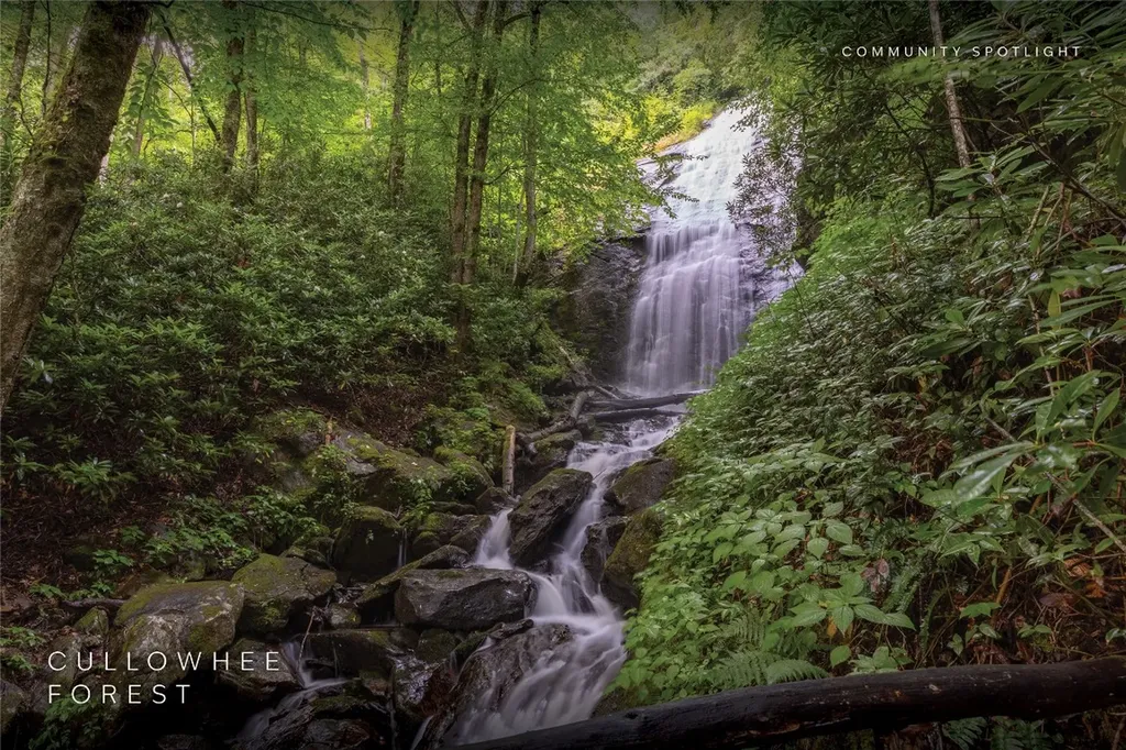 Lot 54 Cullowhee Forest Road Cullowhee NC 28723