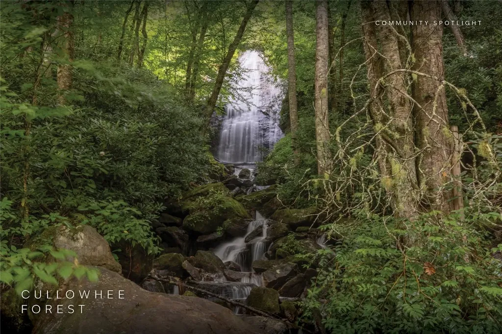 Lot 54 Cullowhee Forest Road Cullowhee NC 28723