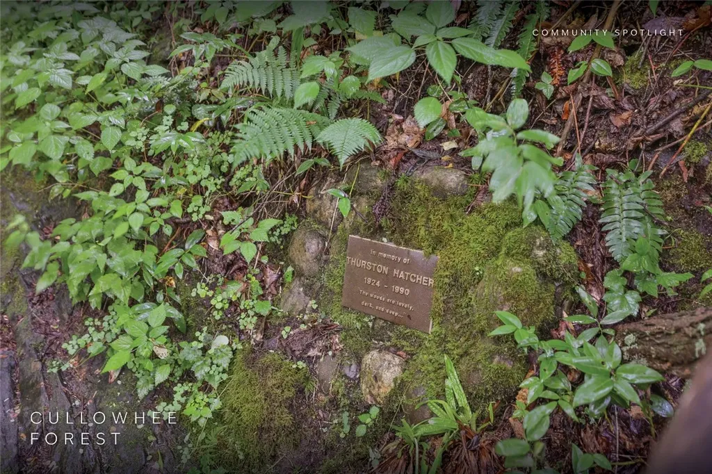 Lot 54 Cullowhee Forest Road Cullowhee NC 28723