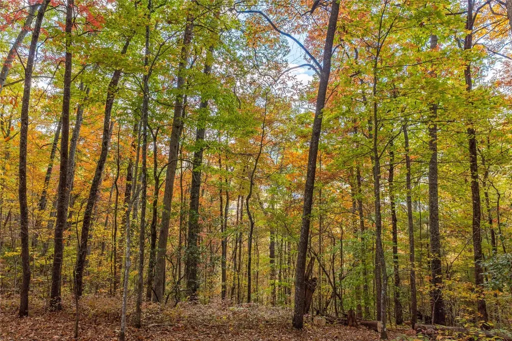 Lot 54 Cullowhee Forest Road Cullowhee NC 28723