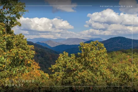Lot 54 Cullowhee Forest Road Cullowhee NC 28723