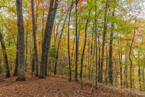 Lot 54 Cullowhee Forest Road Cullowhee NC 28723