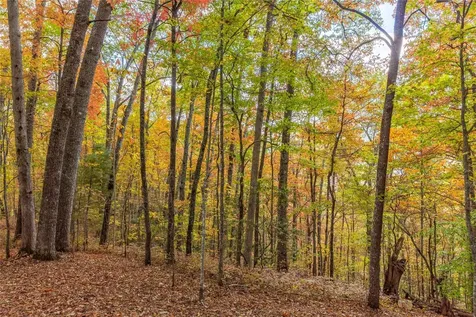 Lot 54 Cullowhee Forest Road Cullowhee NC 28723