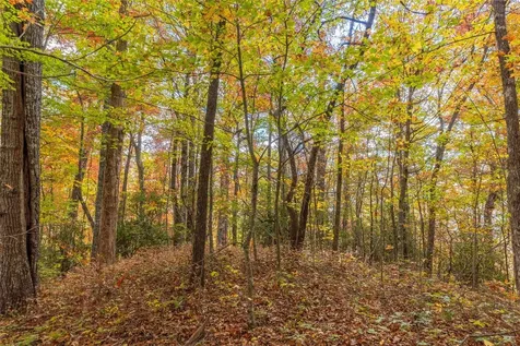 Lot 54 Cullowhee Forest Road Cullowhee NC 28723
