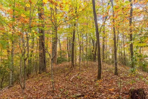 Lot 54 Cullowhee Forest Road Cullowhee NC 28723