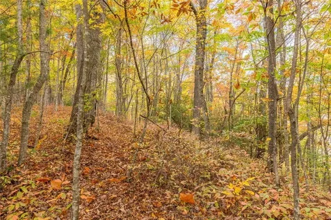 Lot 54 Cullowhee Forest Road Cullowhee NC 28723