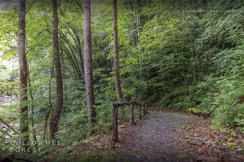 Lot 54 Cullowhee Forest Road Cullowhee NC 28723