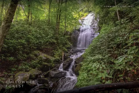 Lot 54 Cullowhee Forest Road Cullowhee NC 28723
