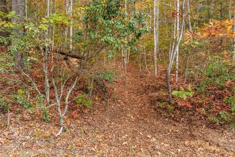 Lot 54 Cullowhee Forest Road Cullowhee NC 28723