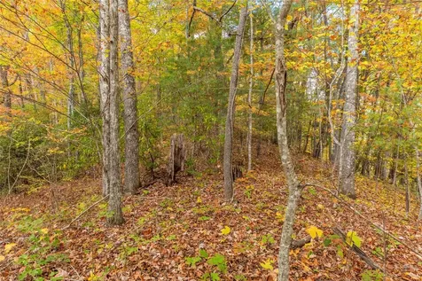 Lot 54 Cullowhee Forest Road Cullowhee NC 28723