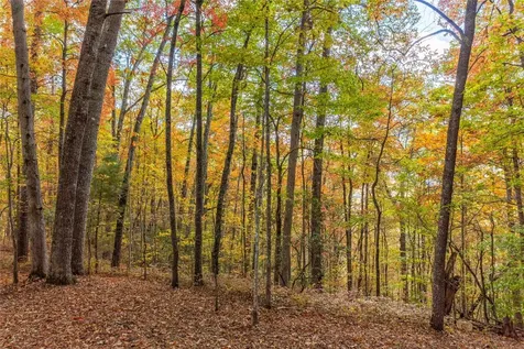 Lot 54 Cullowhee Forest Road Cullowhee NC 28723