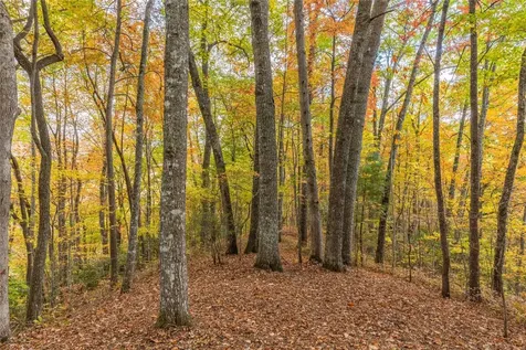Lot 54 Cullowhee Forest Road Cullowhee NC 28723