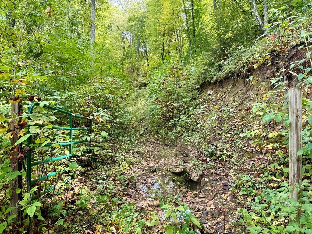 Glenville NC 28736