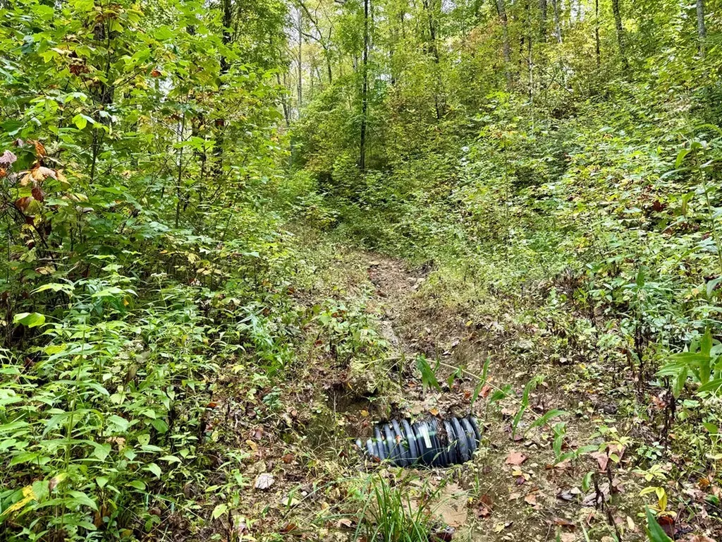 Glenville NC 28736