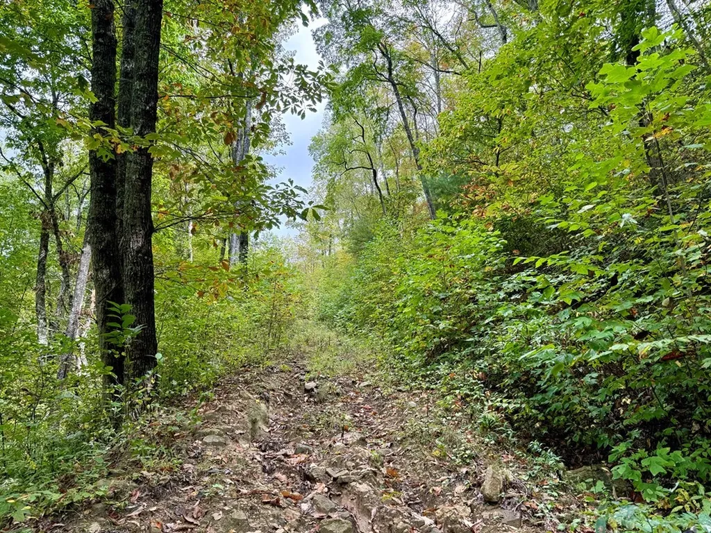 Glenville NC 28736