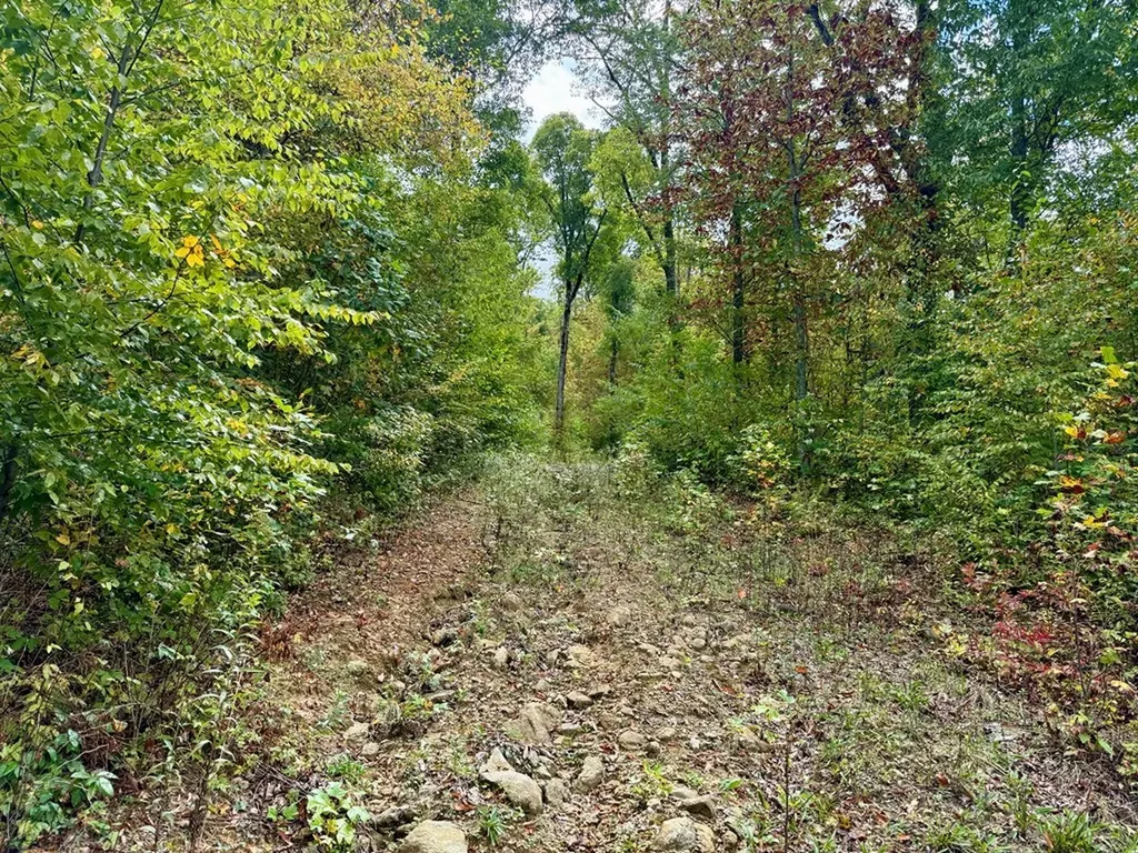 Glenville NC 28736