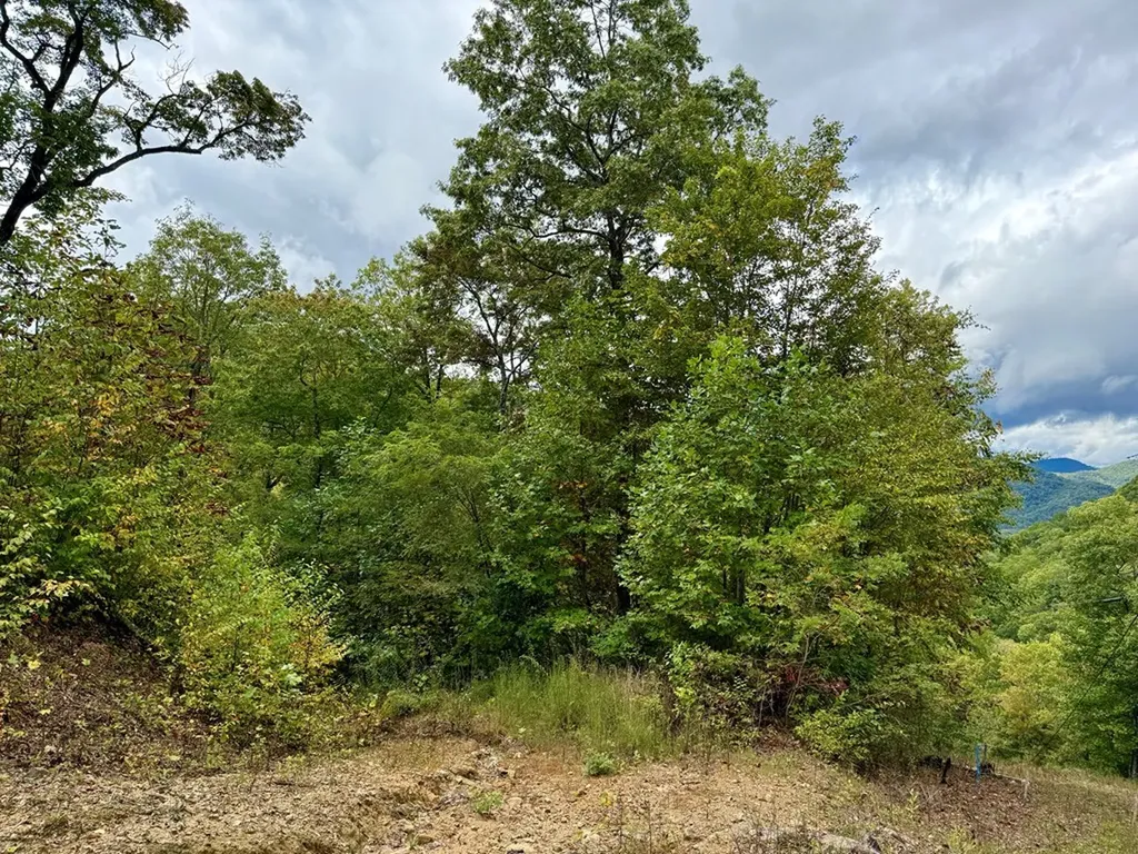 Glenville NC 28736