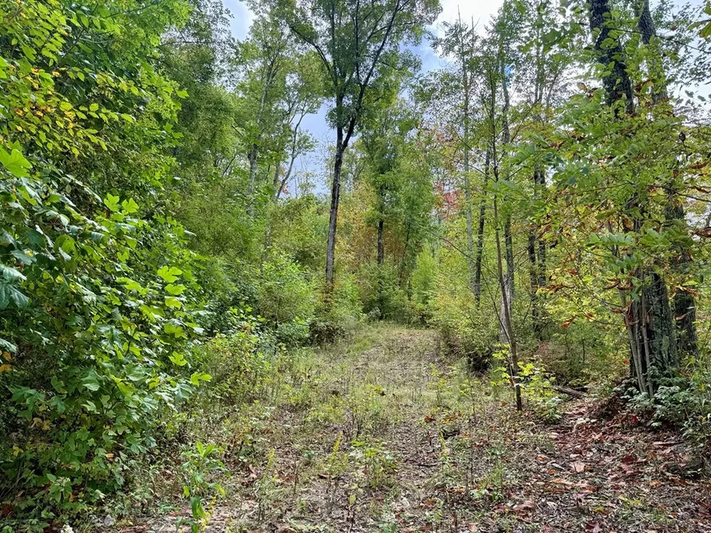 Glenville NC 28736