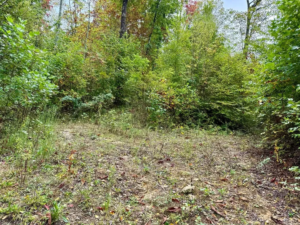 Glenville NC 28736