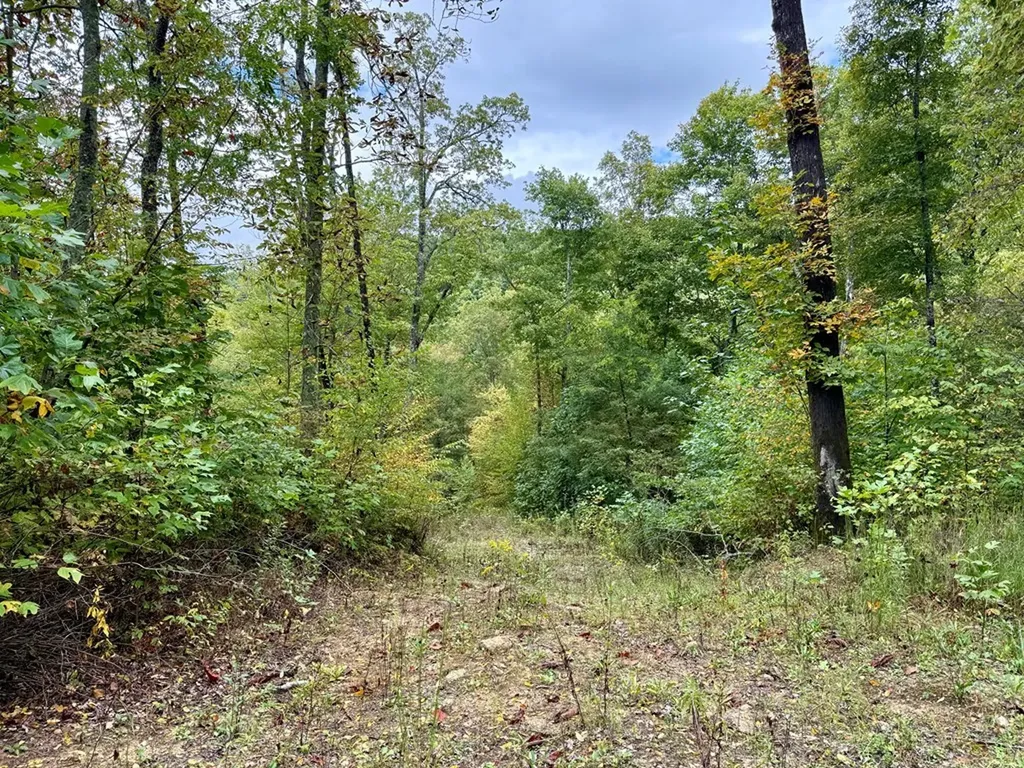 Glenville NC 28736